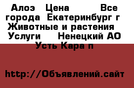 Алоэ › Цена ­ 150 - Все города, Екатеринбург г. Животные и растения » Услуги   . Ненецкий АО,Усть-Кара п.